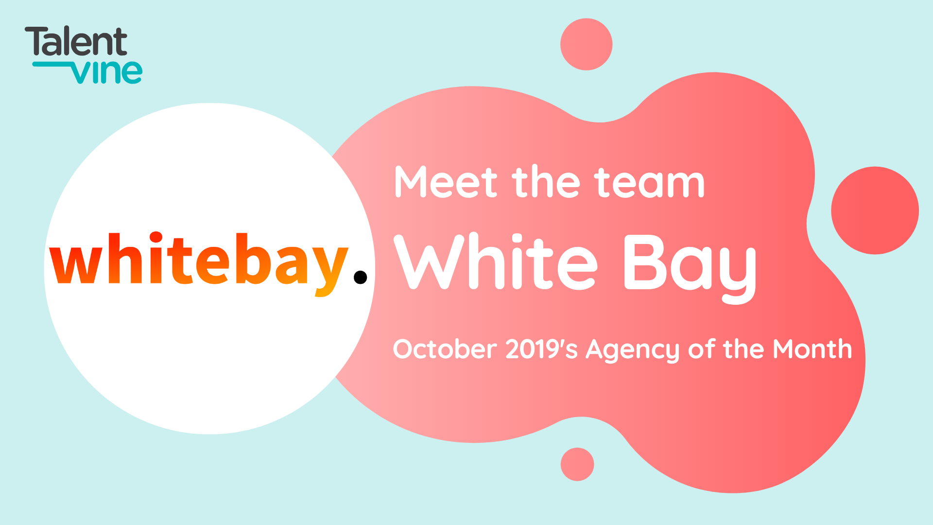 Meet the team White Bay: TalentVine's Agecy of the Month in October 2019